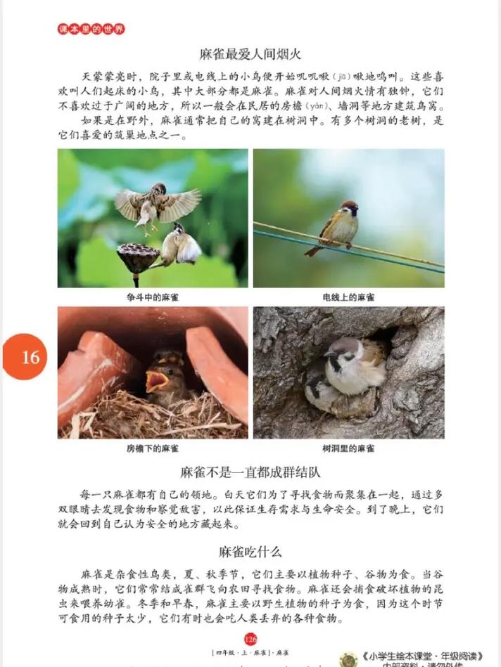 边城在线阅读的相关介绍