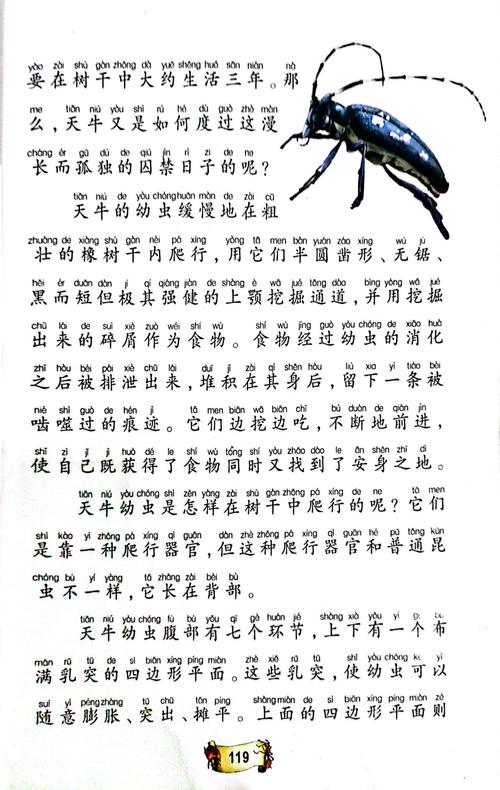 丰乳肥臀在线阅读的相关介绍