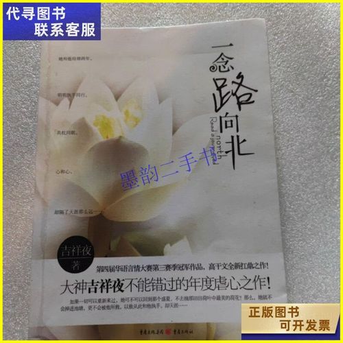 掠婚小说免费阅读在线的相关介绍