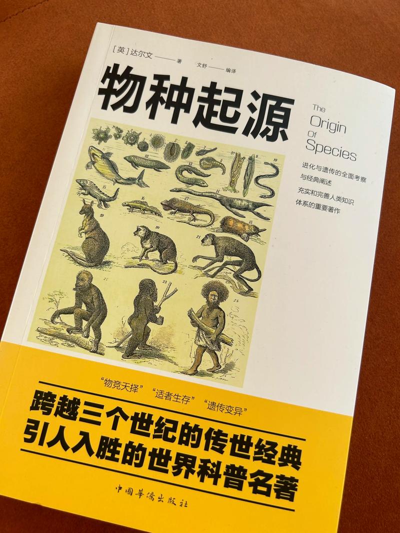 军宠三千在线阅读完整的相关介绍