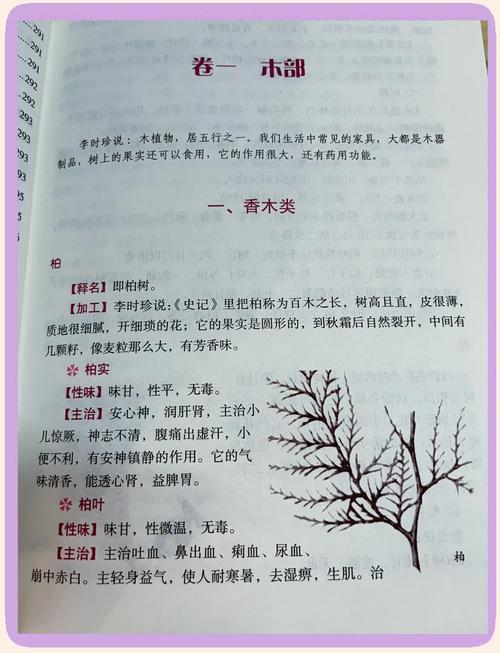 陈青云武侠小说全集在线阅读全文的相关介绍