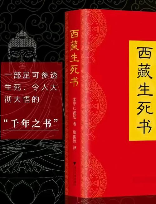 夏洛的网在线阅读全文的相关介绍