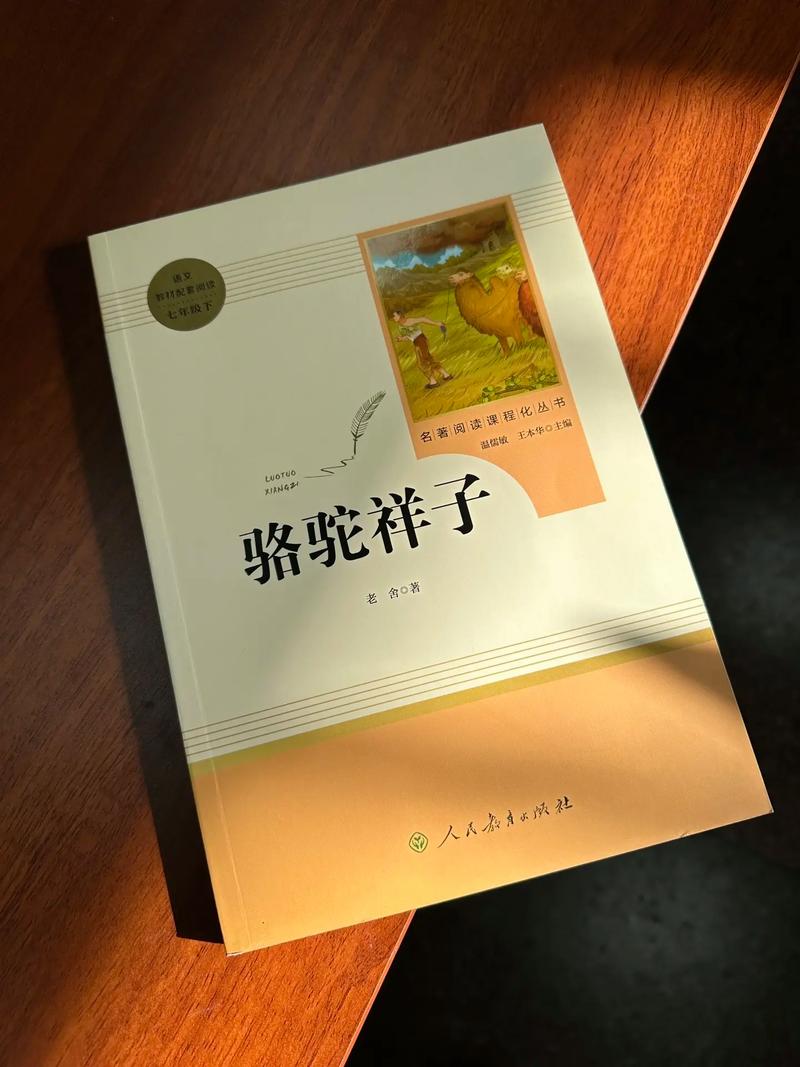 女总裁的全能兵王萧晨在线阅读的相关介绍