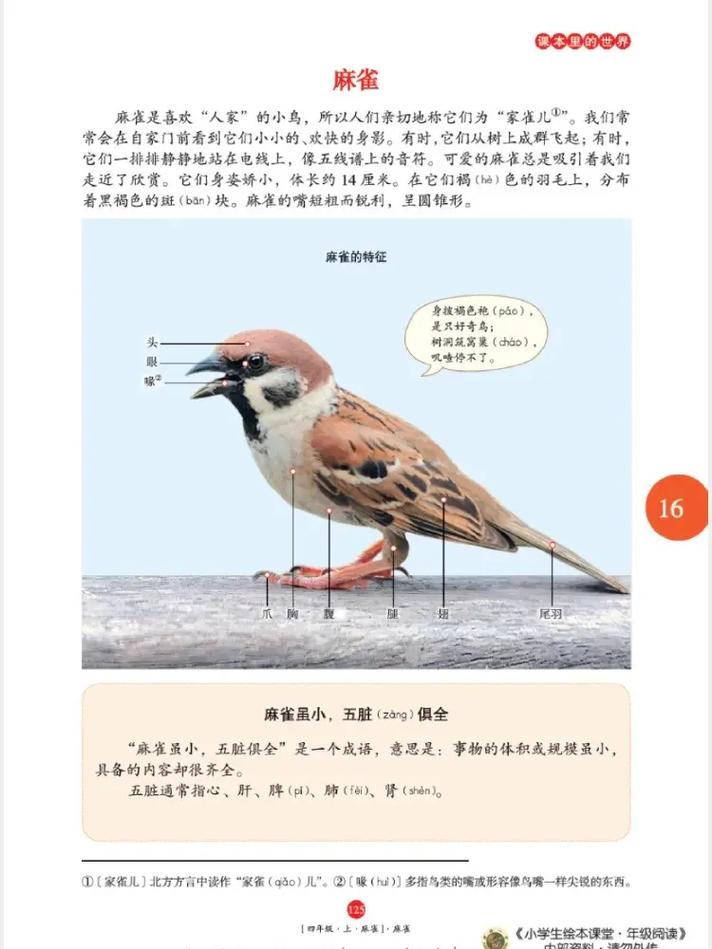 黎明之街在线阅读的相关介绍