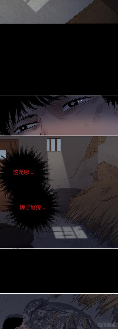在线小说阅读器的相关介绍