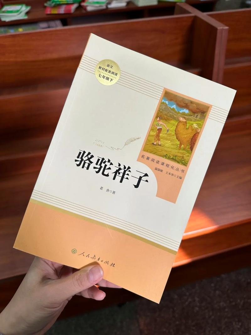 查理九世在线阅读的相关介绍