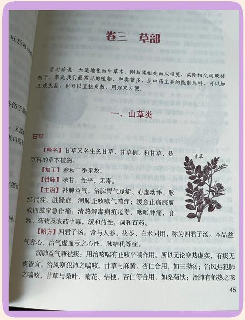 陈平江婉小说在线全文免费阅读的相关介绍