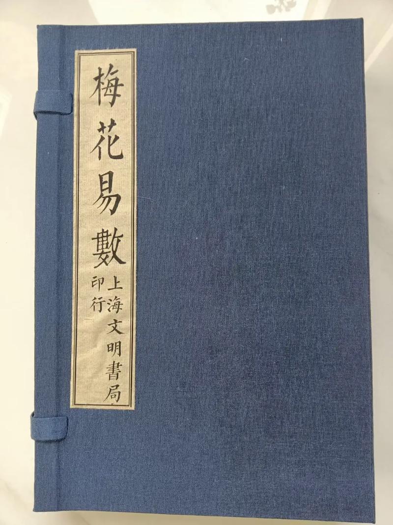 山楂树之恋在线阅读的相关介绍