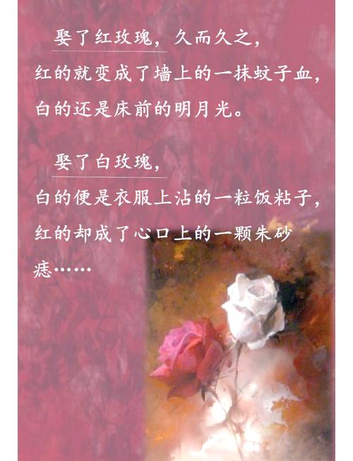 诛仙在线阅读的相关介绍