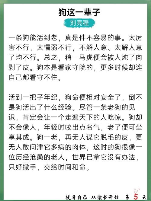 纸玫瑰在线阅读的相关介绍