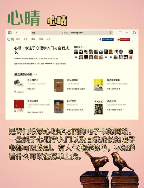 掠婚小说免费阅读在线的相关介绍