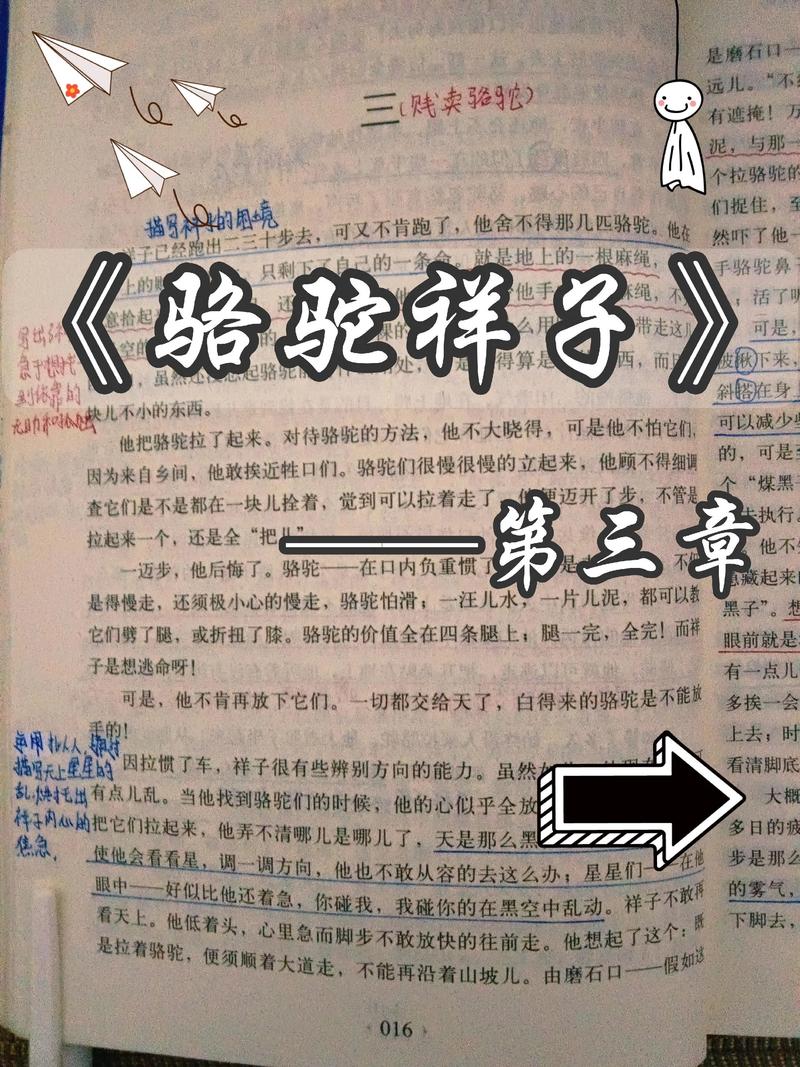 无心法师在线阅读的相关介绍