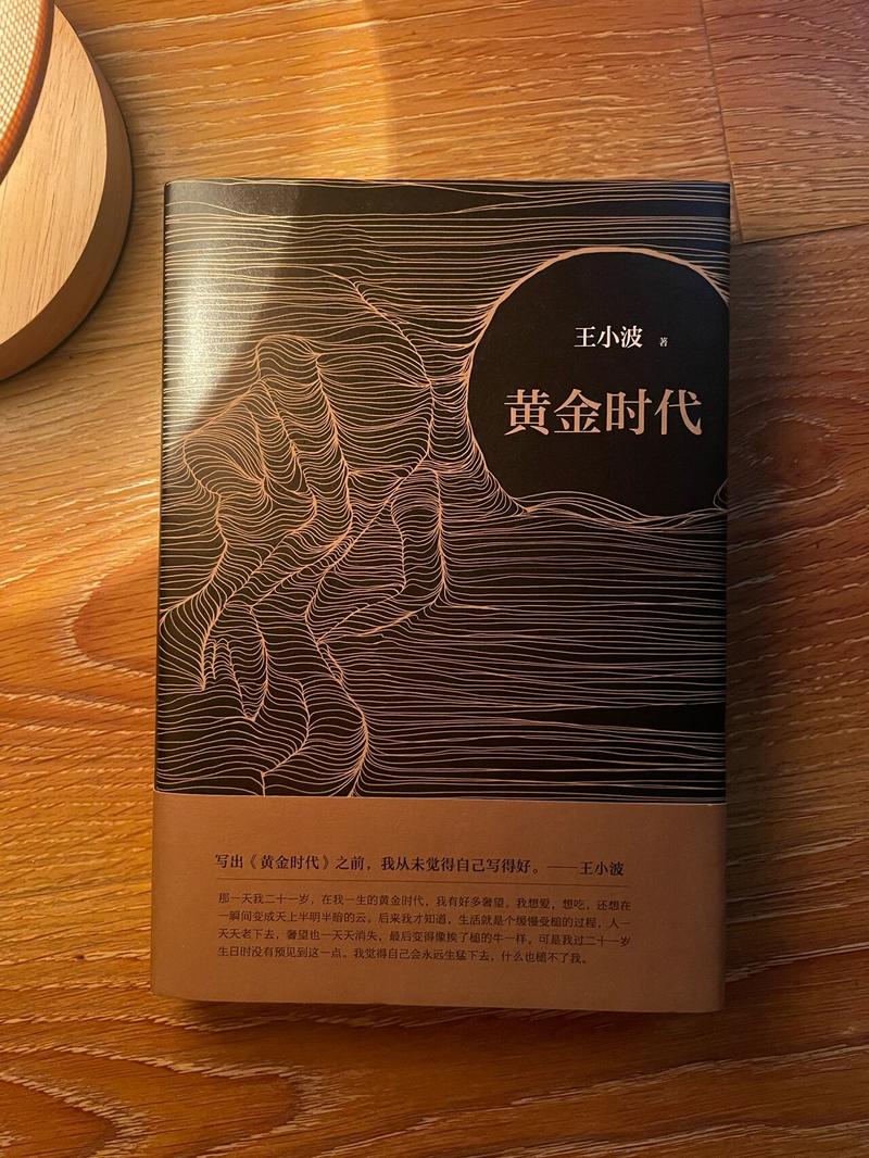 你和我的倾城时光txt在线阅读的相关介绍