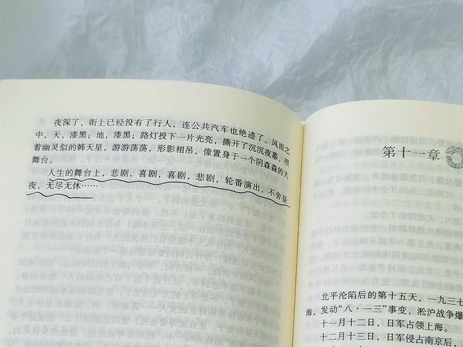 檀香刑在线阅读的相关介绍