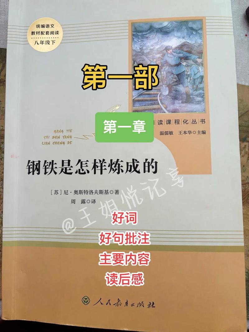乐可金银花全文免费阅读在线笔趣阁软件下载的相关介绍