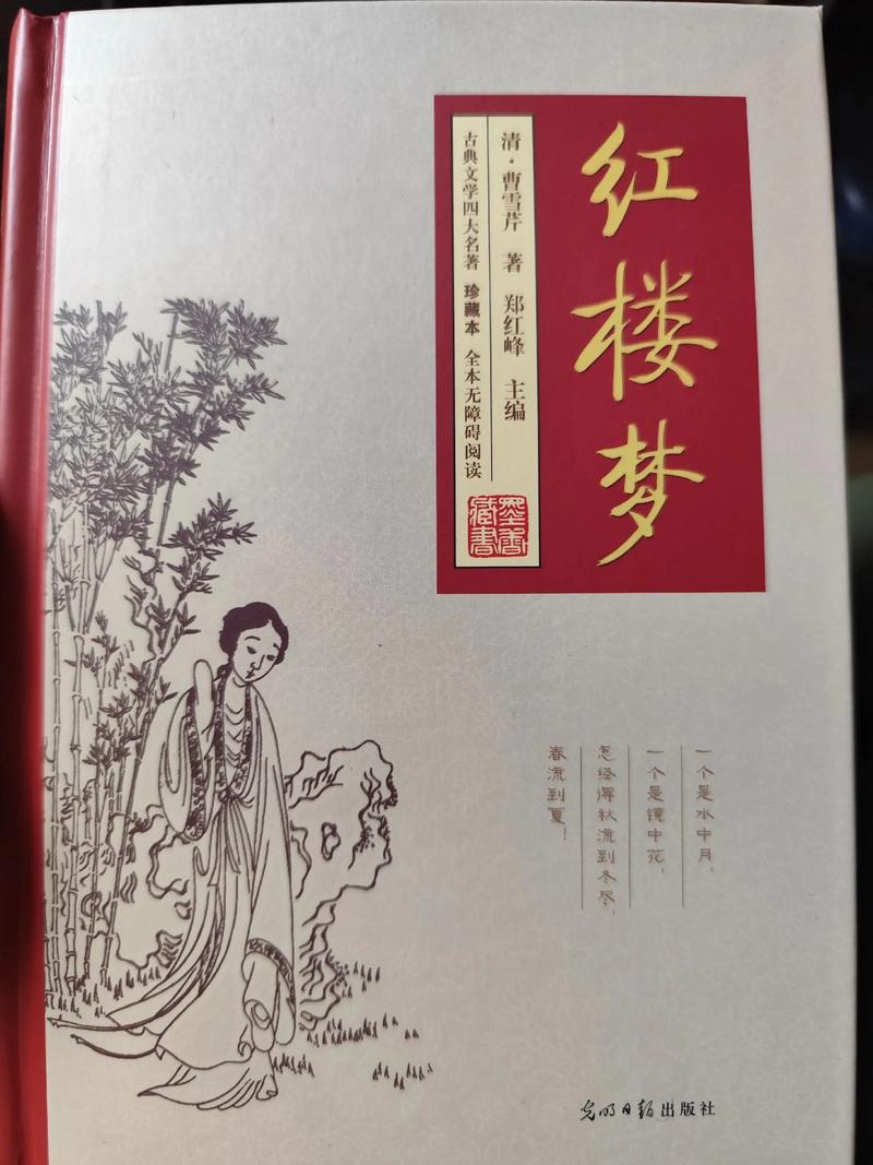 少年阿宾全文在线阅读的相关介绍