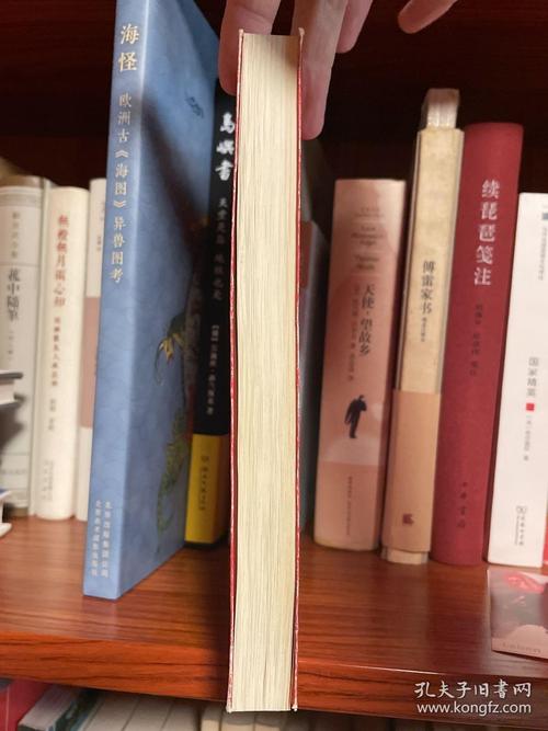 灿烂千阳在线阅读的相关介绍