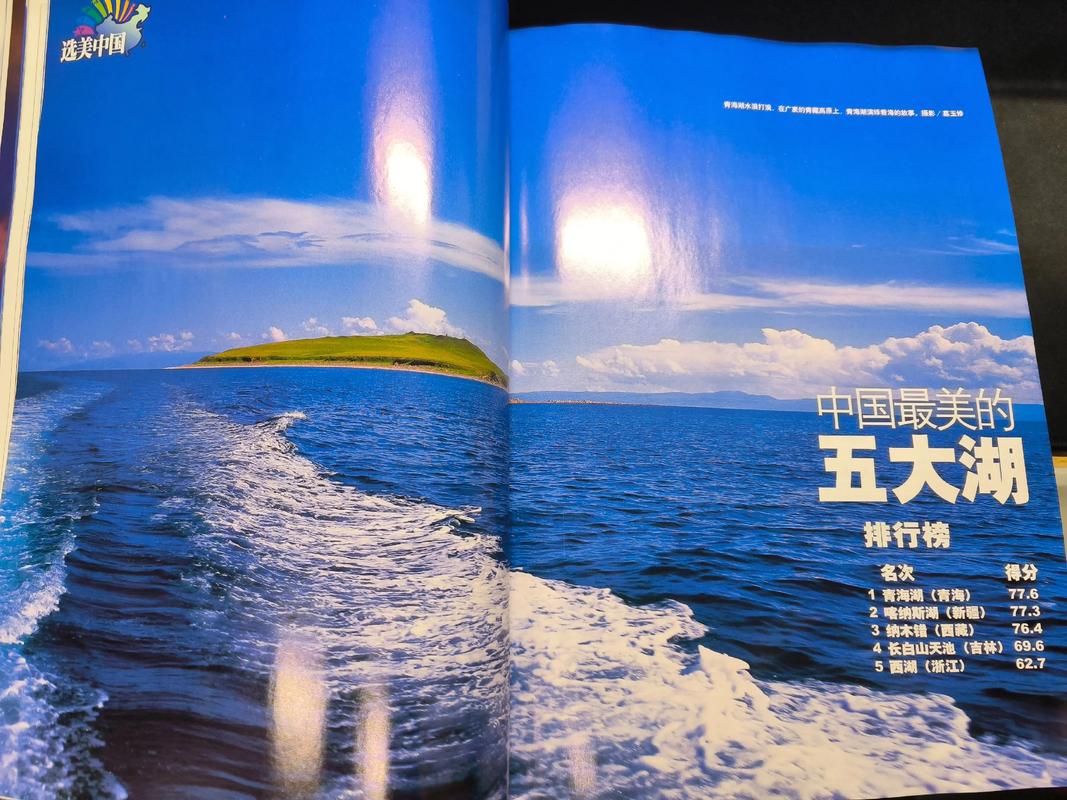 高黄多肉的长篇小说在线阅读的相关介绍