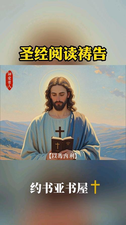曹家将小说在线阅读的相关介绍