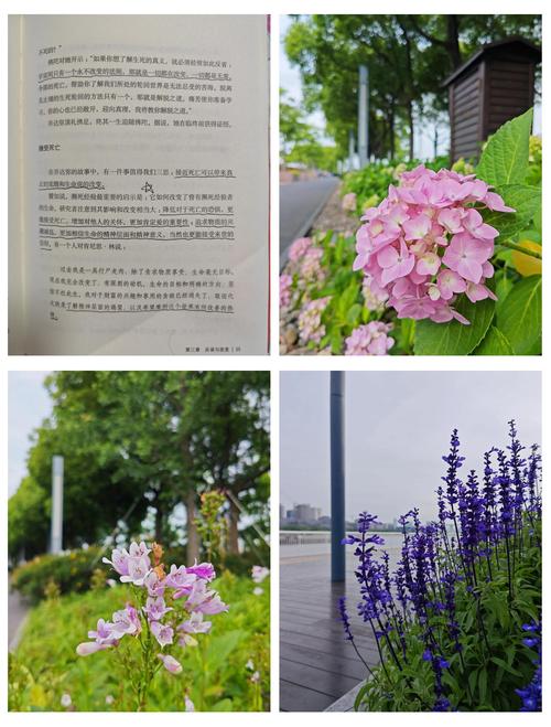 长征在线阅读的相关介绍