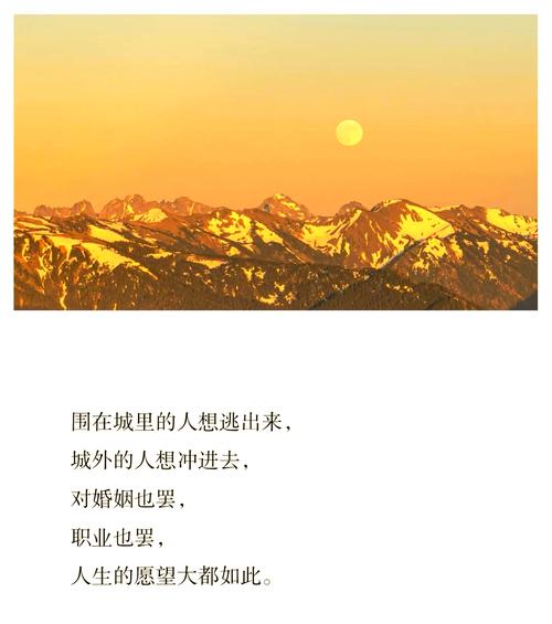 慈悲城在线全文阅读的相关介绍