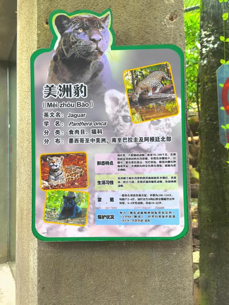 西行漫记在线阅读的相关介绍