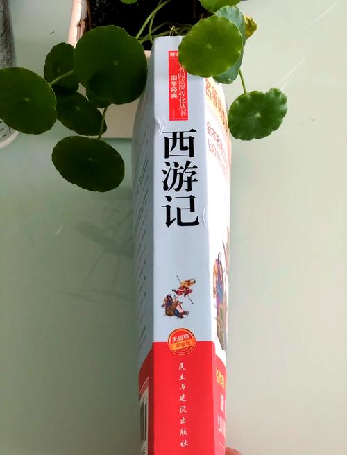 爱格杂志在线阅读官网的相关介绍