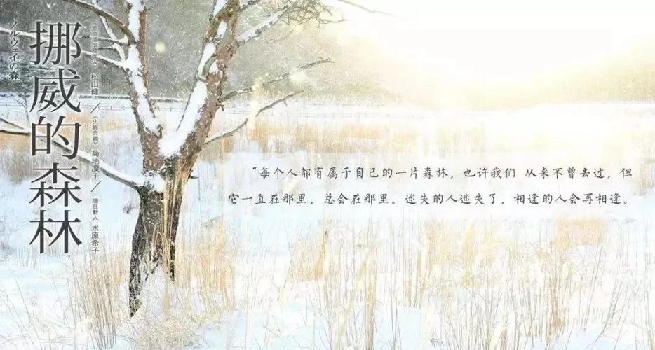 挪威的森林小说全文在线阅读 | 村上春树经典作品