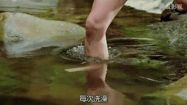 房思琪的初恋乐园在线阅读的相关介绍