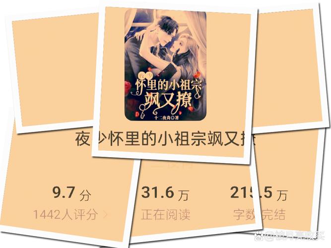 丝袜h黄文小说在线阅读的相关介绍