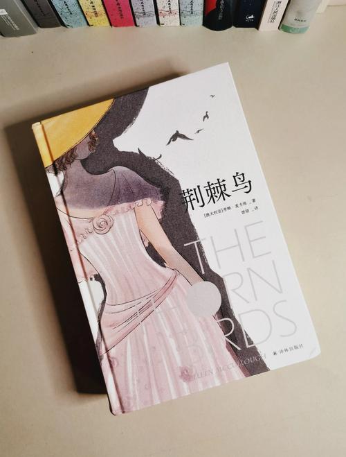 阿宾在线阅读的相关介绍