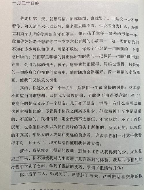羊皮卷全书在线阅读的相关介绍