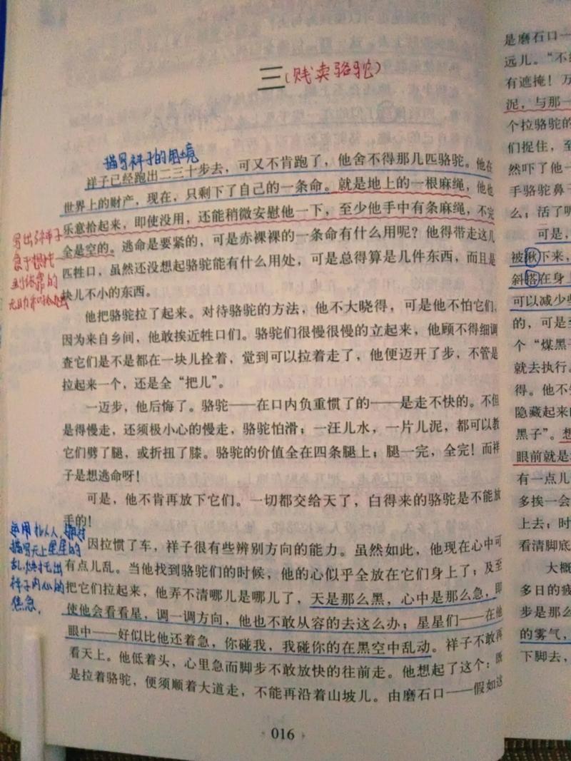 麻雀在线阅读的相关介绍