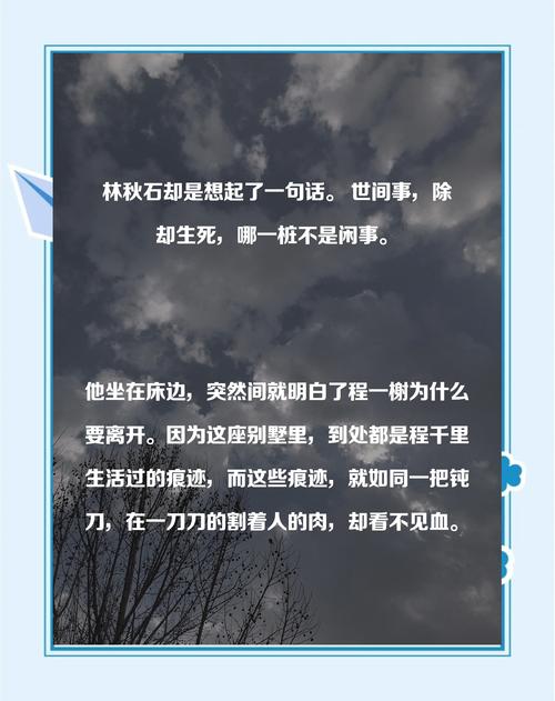 北城天街在线阅读的相关介绍