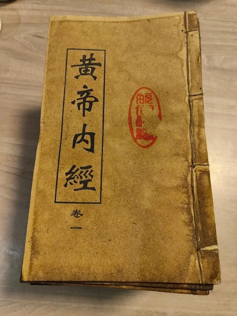 致命温柔在线阅读的相关介绍