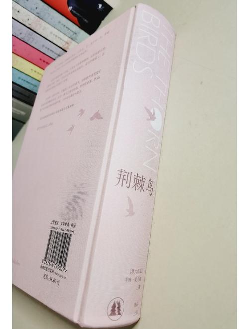 阿宾正传在线阅读的相关介绍