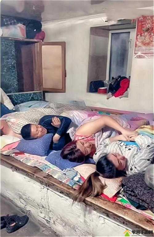 合家欢在线阅读免费的相关介绍