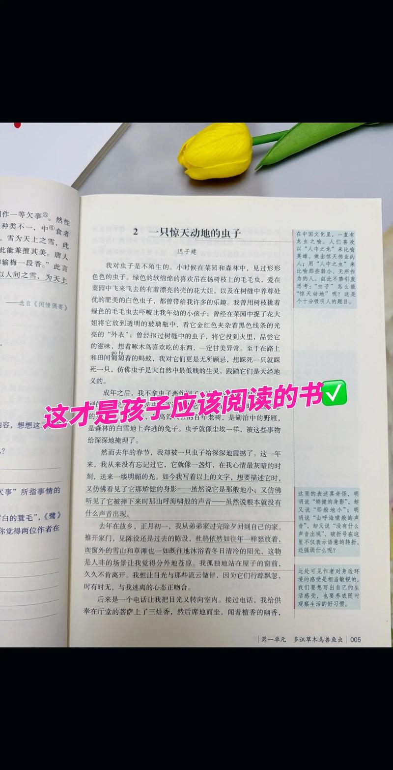 和月折梨花在线阅读的相关介绍