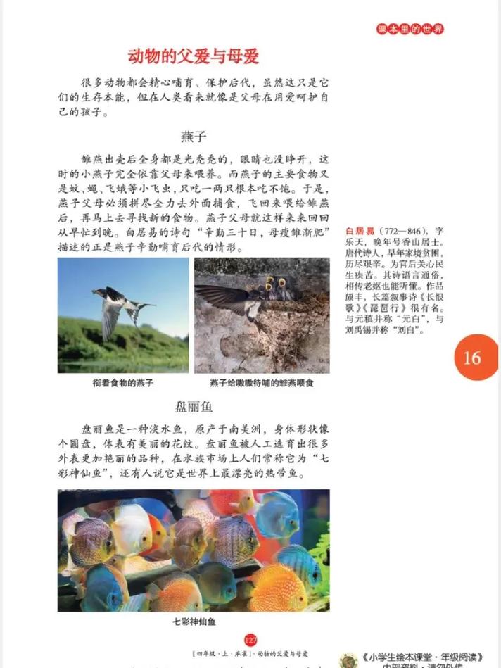 阮白和慕少凌在线阅读的相关介绍