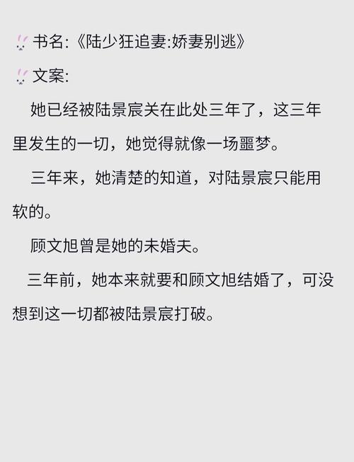 官神小说在线阅读 - 官场权谋巅峰之作