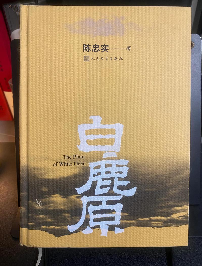 亦舒小说在线阅读的相关介绍