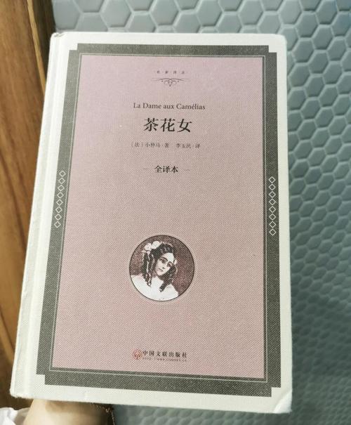 阿宾在线阅读的相关介绍