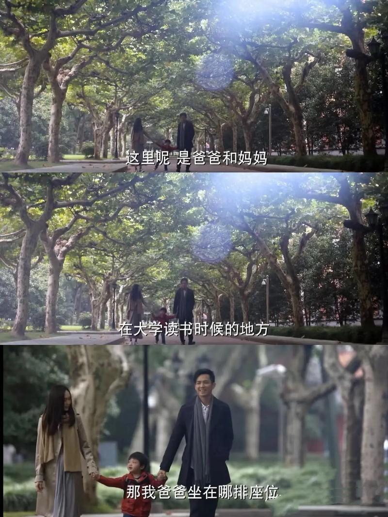余华的第七天在线阅读的相关介绍