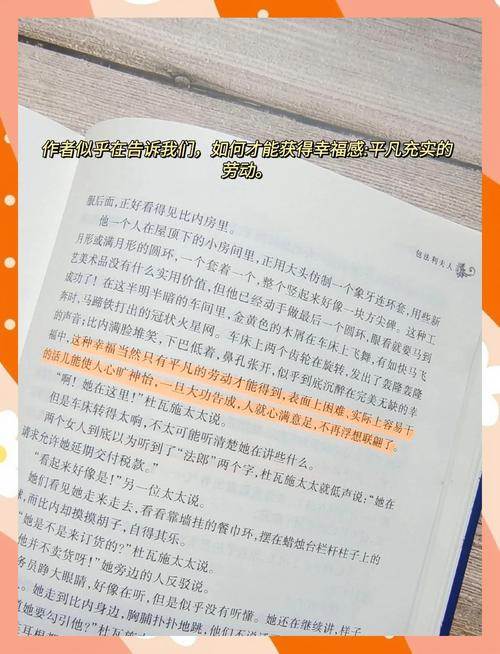 慈悲城在线全文阅读的相关介绍