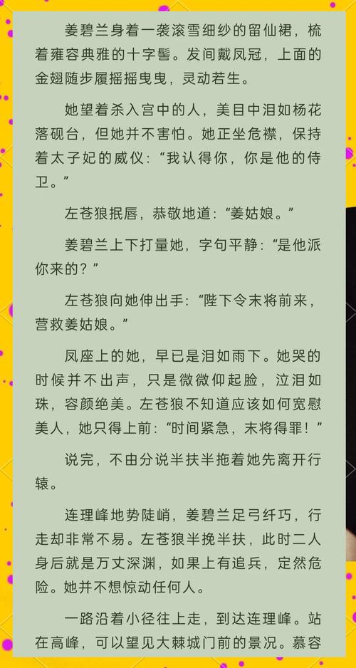 红楼梦白话文在线阅读的相关介绍