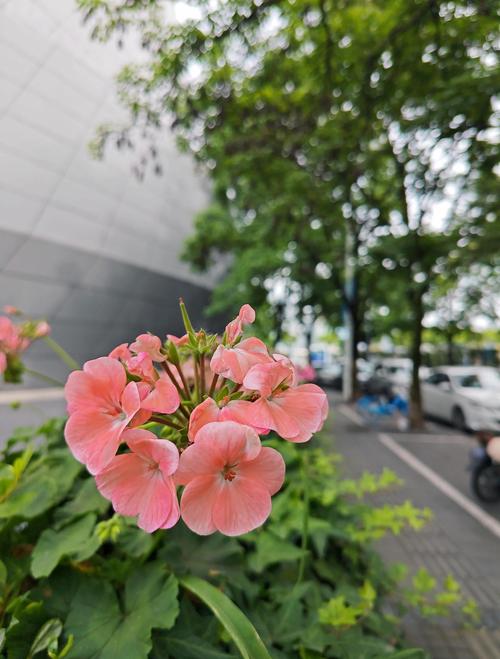 小王子在线阅读的相关介绍