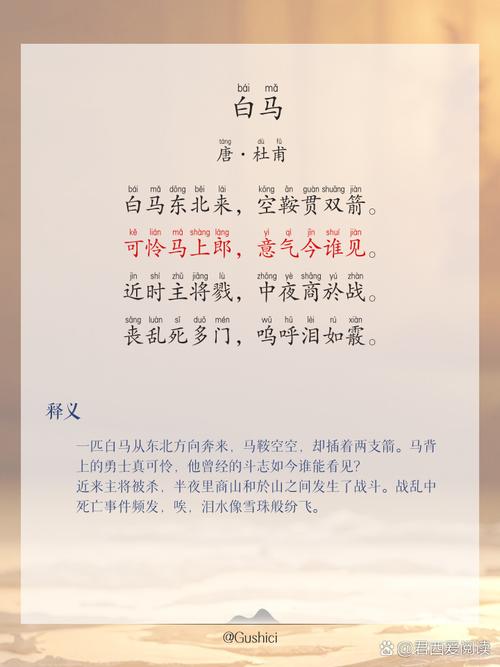 少阿兵宾小说在线阅读全文的相关介绍