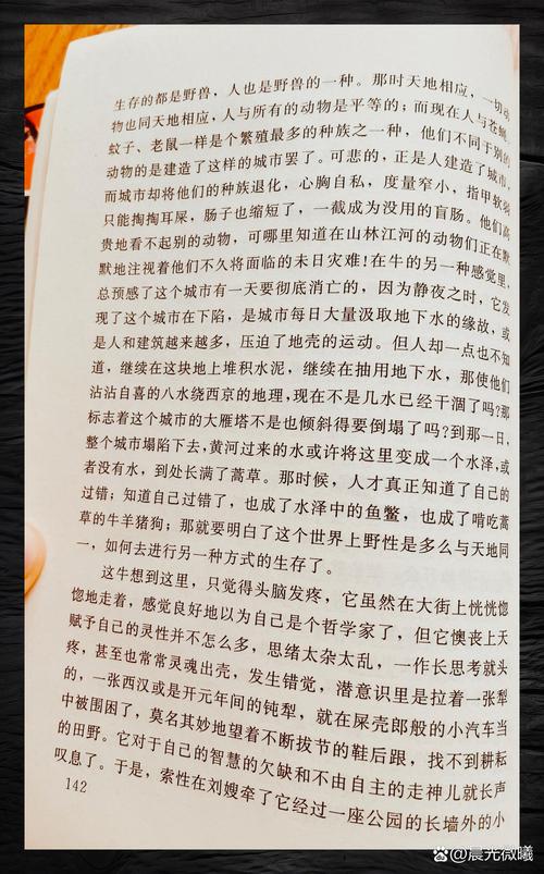 圣经在线阅读的相关介绍