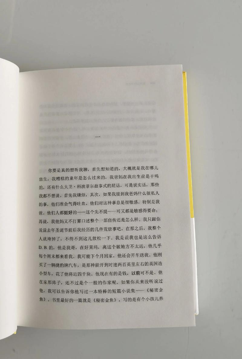 爱丽丝没有仙境2在线阅读的相关介绍