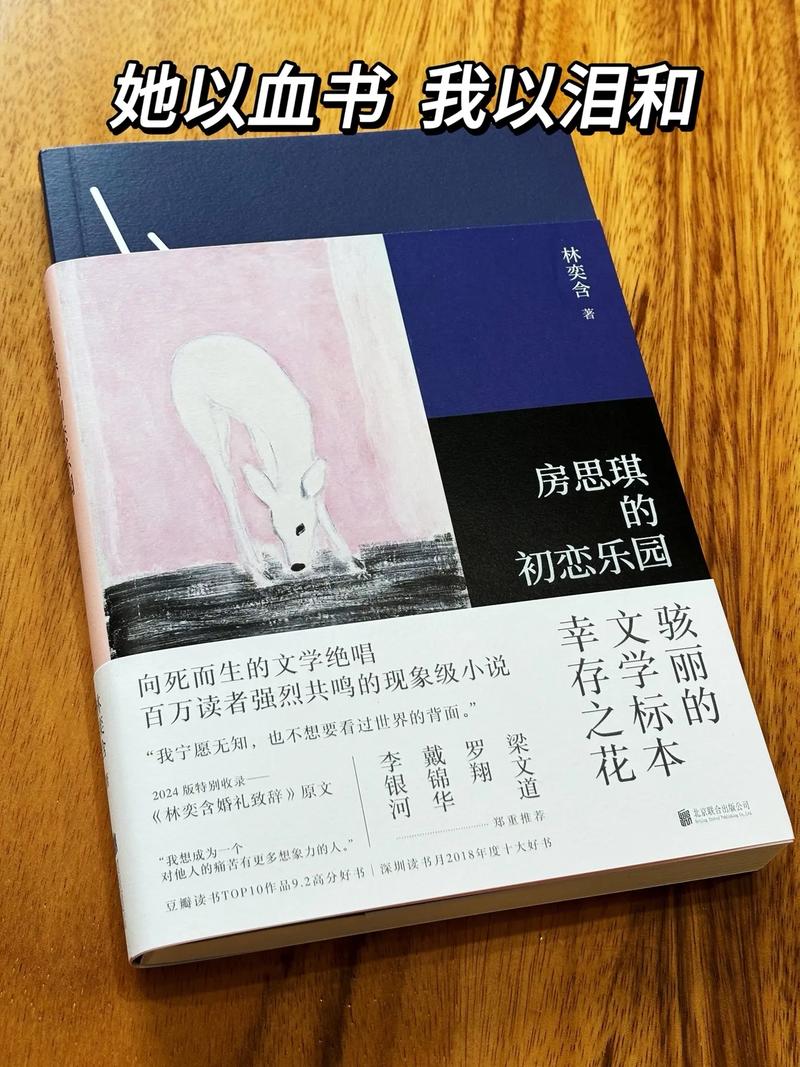 黑道风云6在线阅读的相关介绍